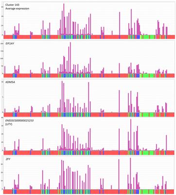 Functional Annotation of the Transcriptome of the Pig, Sus scrofa, Based Upon Network Analysis of an RNAseq Transcriptional Atlas